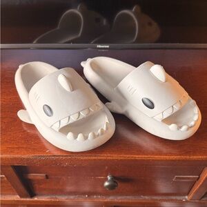 Original Cloud Shark Slides